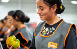Inspección de pimiento en la línea de producción